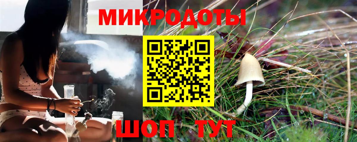 Галлюциногенные грибы Psilocybe Каменск-Уральский